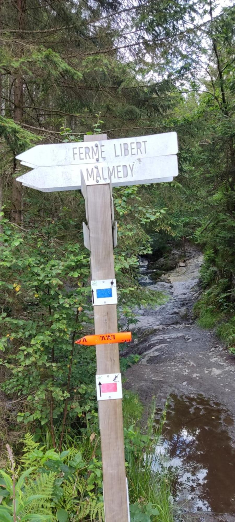 Ferienwohnung Au Coin De La Cascade Longfaye Exterior foto